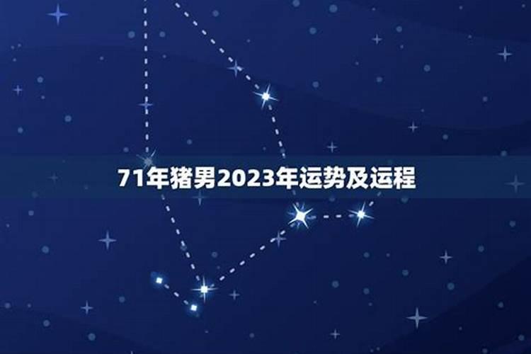 71猪男2025年运势运程