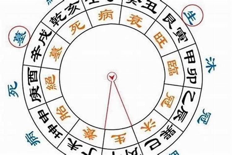八字养是什么意思？