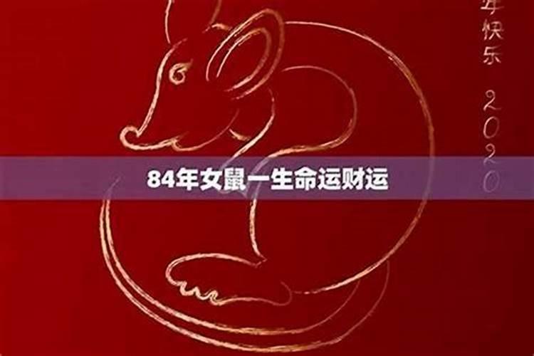 84年的鼠2025年运势6月