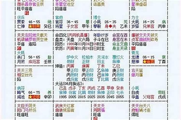 什么命查询表？