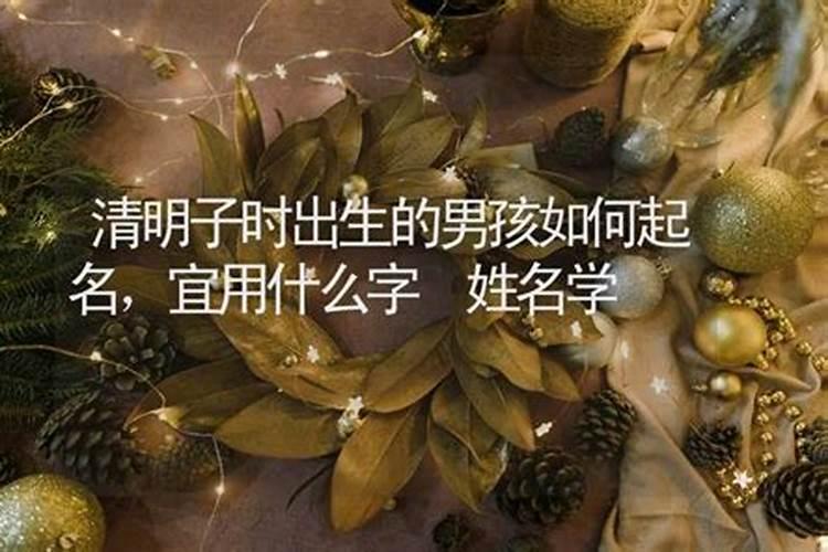 清明节当天出生的男孩怎么取名？