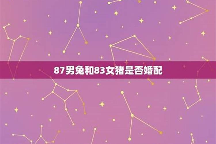 83猪与87兔合婚吗？
