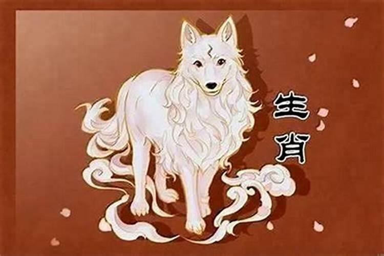 属狗在狗年的运程如何？