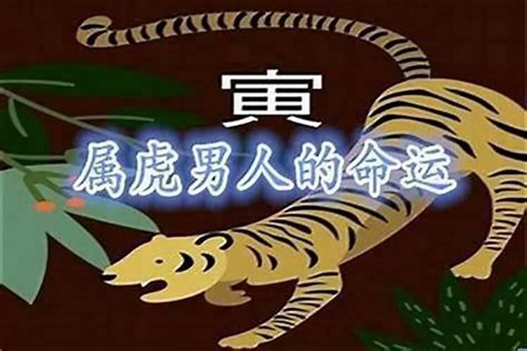 属虎2025年运势及运程98年