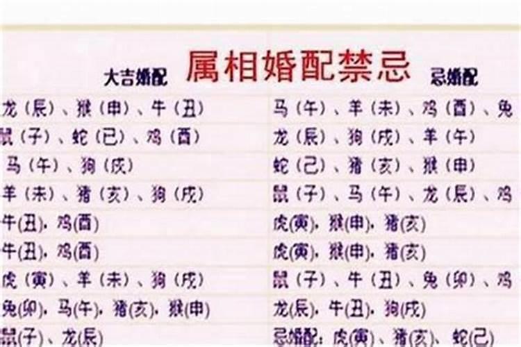 大家相信属相婚配相冲吗？
