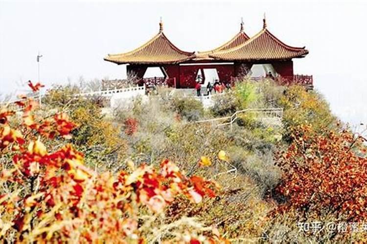 重阳节登高望远时茱萸插在哪里？