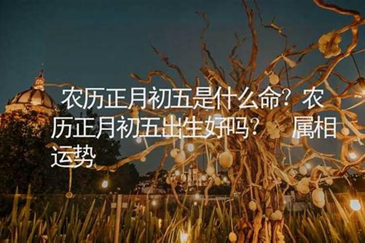正月十五农历的生日好吗？