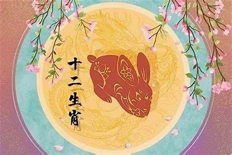 属兔本命年怀孕是好事还是坏事？