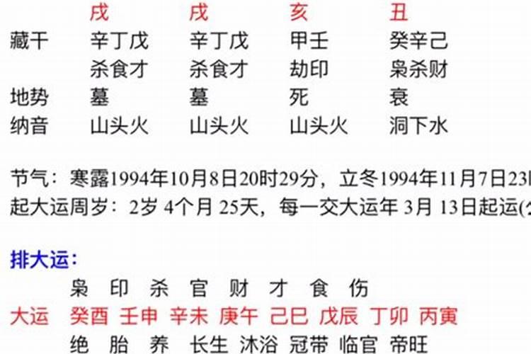 乙亥女在2025年的运程