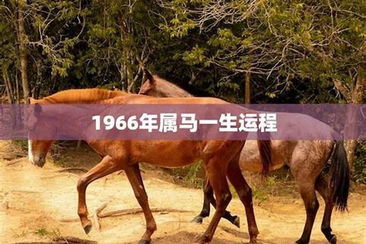 1966属马一生运程