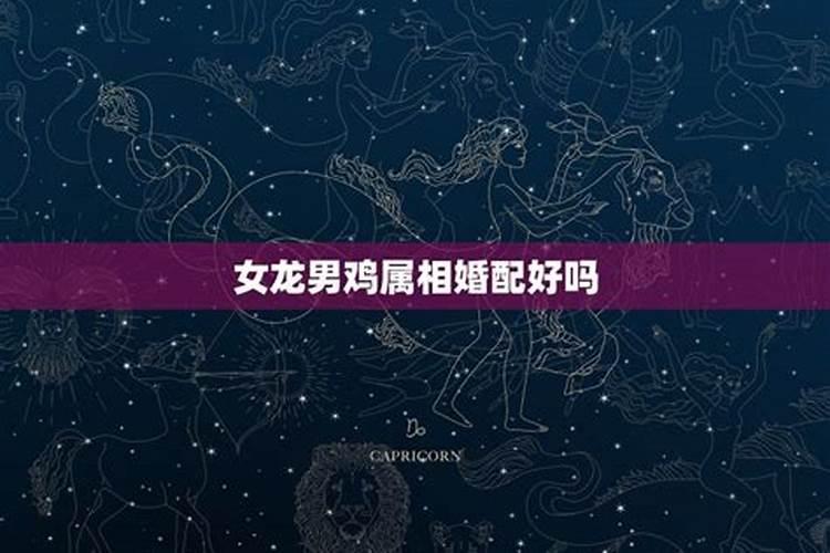 属龙女属鸡男婚八字合吗？
