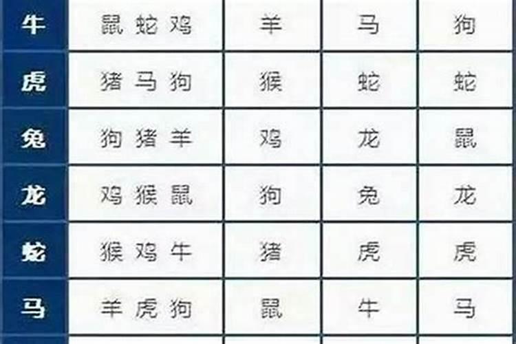 属蛇男跟属鸡女合婚吗？