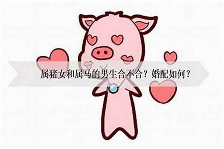 猪男和猪女合婚吗？