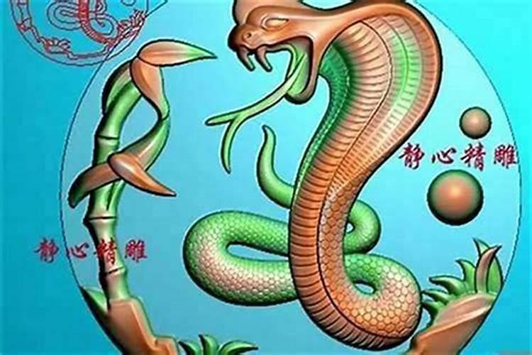 蛇男狗女合婚吗？