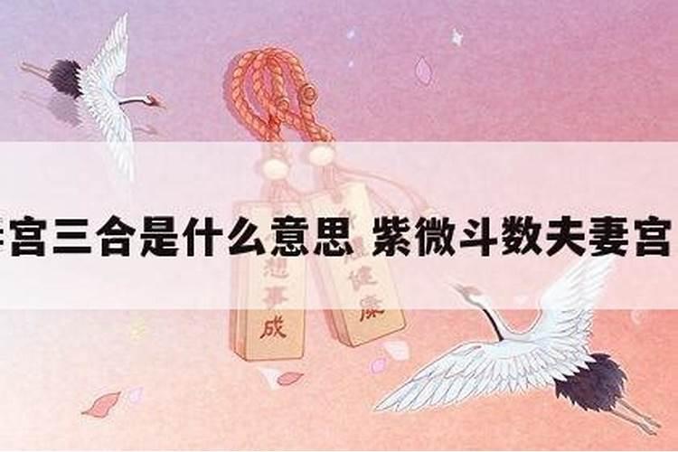 三合婚姻宫什么意思是什么？