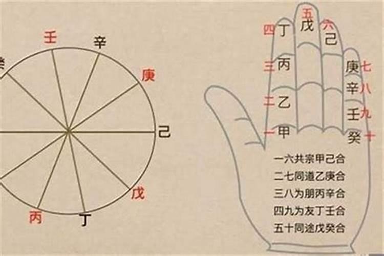 八字乙庚合乙变成什么？