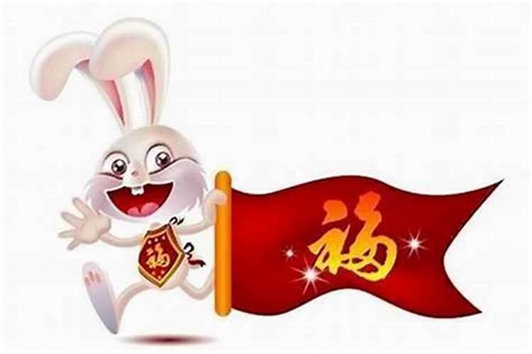 属兔人2025年十一月运势如何？