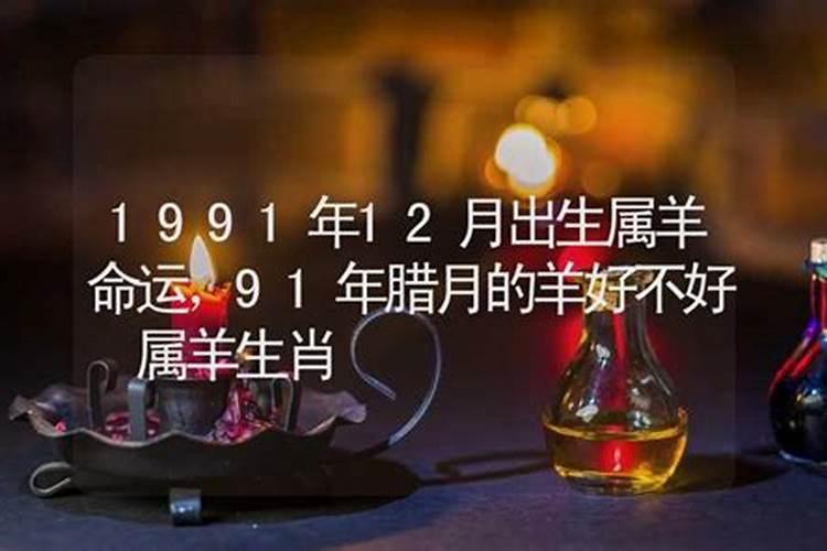 1991年腊月羊的命运