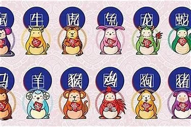 2025十二生肖哪个运势财旺？