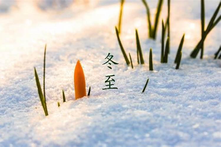 属狗冬至前三天交运