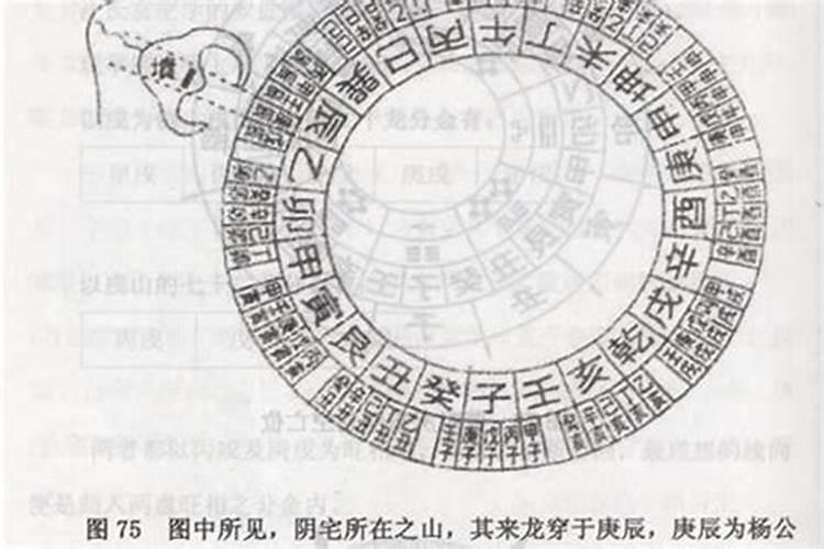 生辰八字属于什么龙？