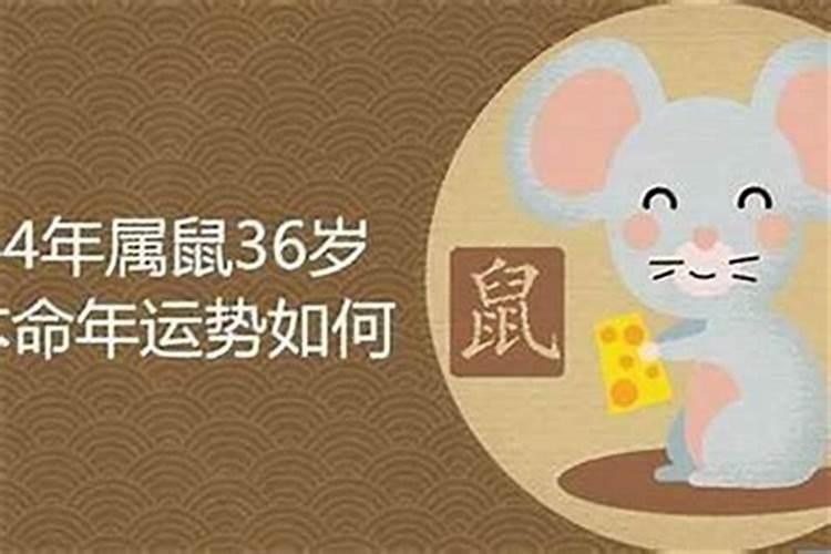 属鼠十月初一出生的男孩