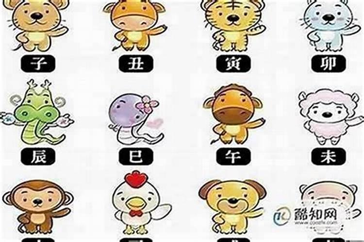 十二个属相哪个命最好？-易用国学