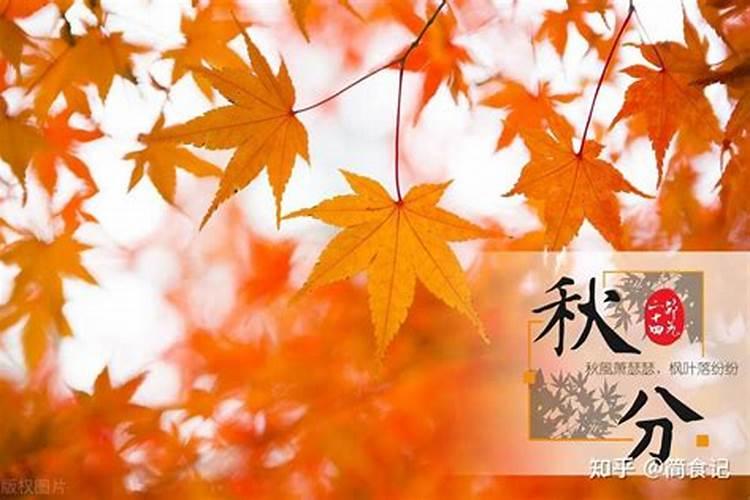 秋分有什么风俗？
