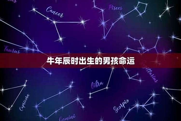 属牛九月初九出生男孩好吗？