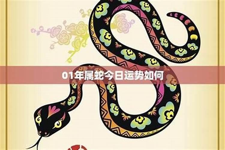 属蛇的今年七月运势如何？