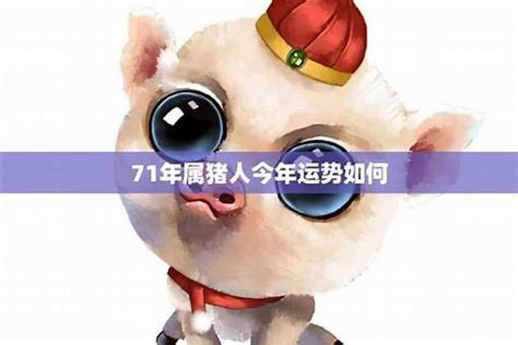 属猪人6月份运程怎样？