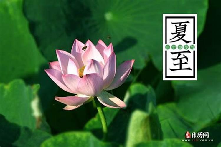 今年夏至几月几号？