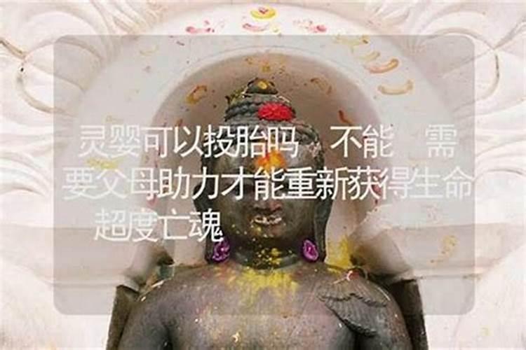 婴灵超度了会投胎吗？