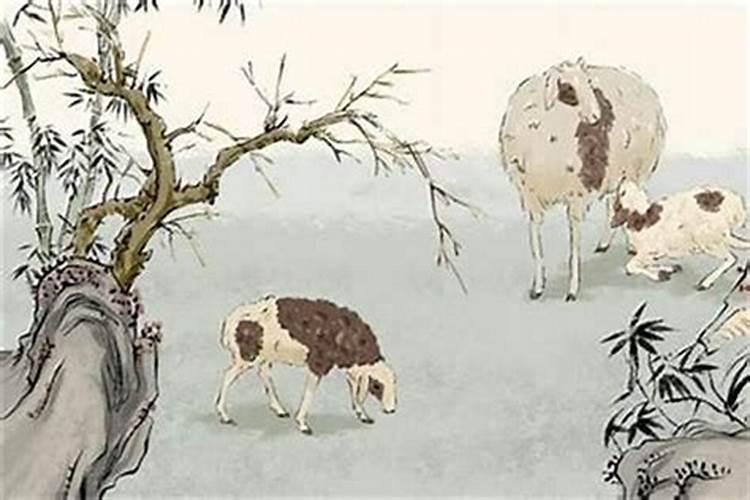属鼠的和羊合婚吗？