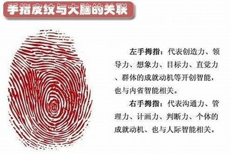 指纹解析一生运势