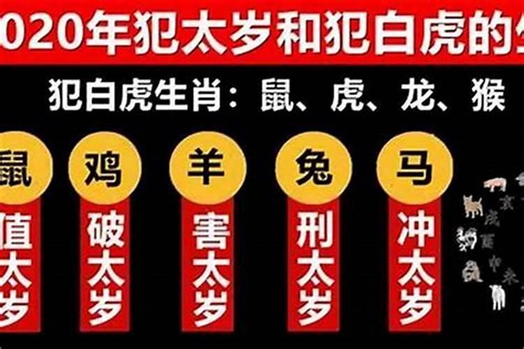 鼠年犯太岁有哪几个生肖？