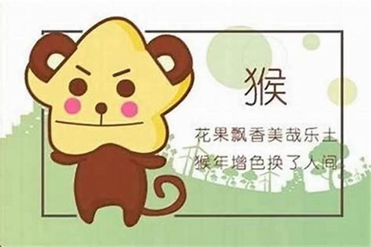 属猴属马八字合吗？