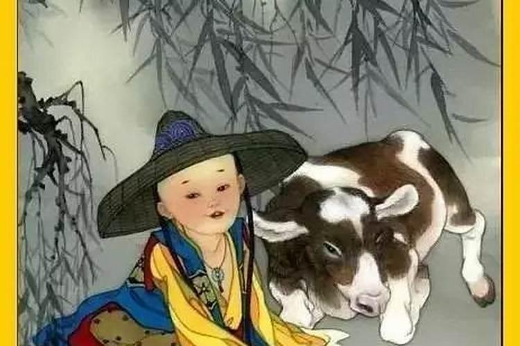 哪个生肖最好色？