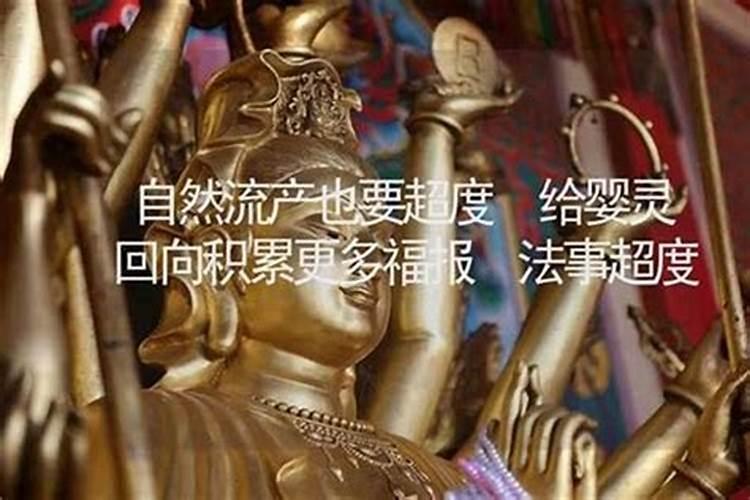 超度婴灵怎么做回向？