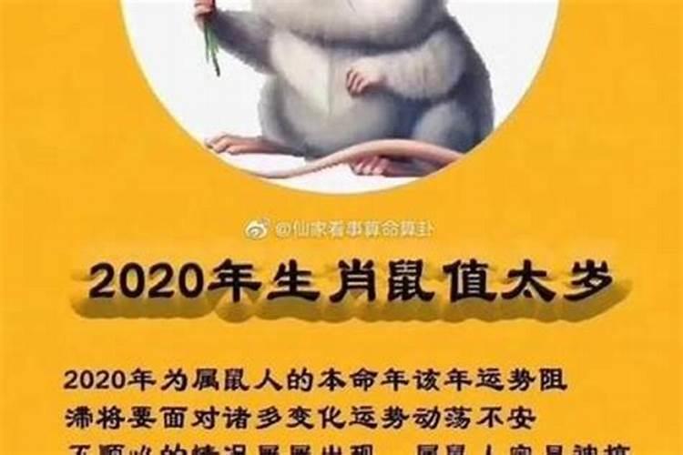 属鼠1948年运程如何？