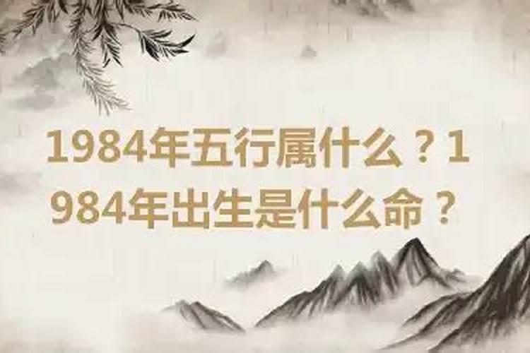 1984年是什么命年？
