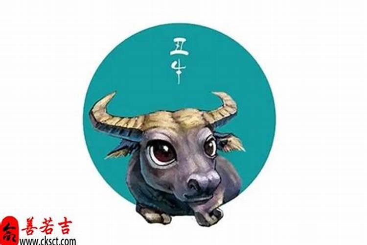 属牛男1997年2025年运程