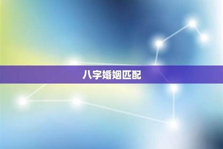 八字合婚准还是生肖准？