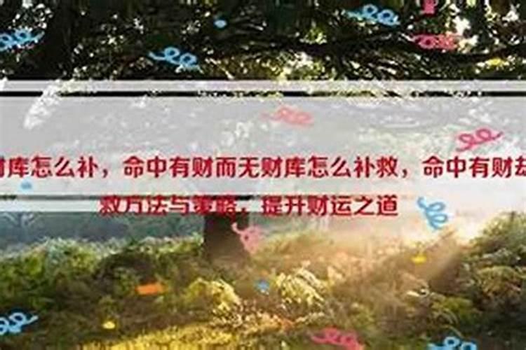 命中有财而无财库怎么补？