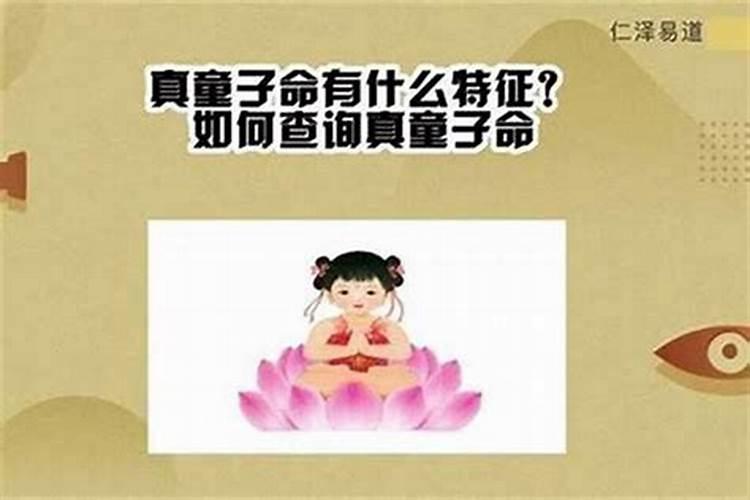 童子命能看见鬼吗？