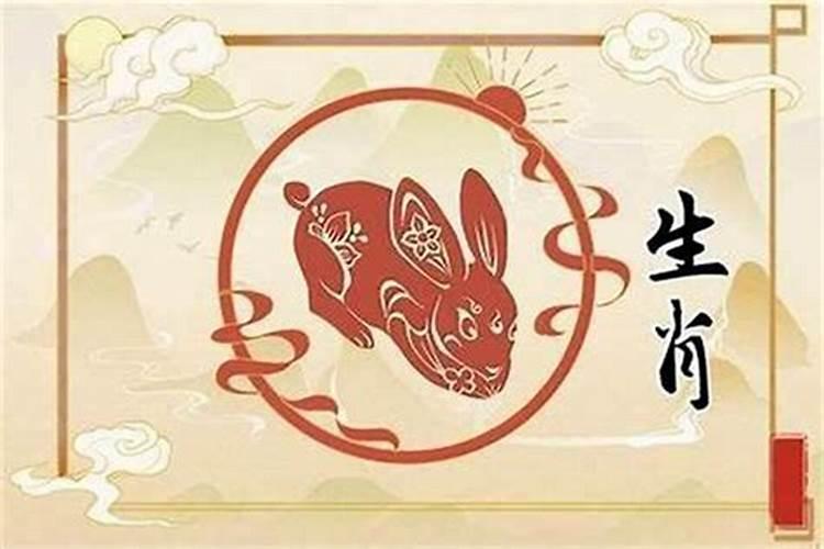 合婚配对兔和什么配？