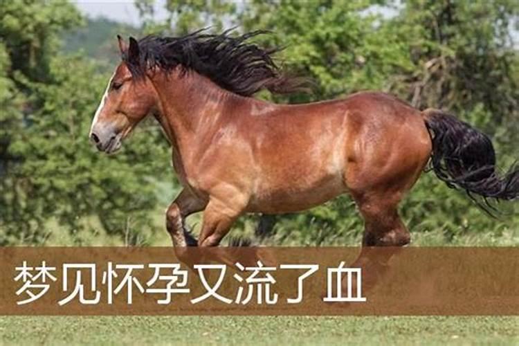 梦见别人怀孕流了好多血？