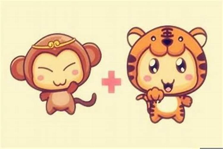 男的属猴女的属虎合婚吗？
