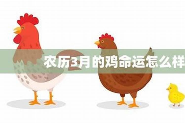 属鸡农历三月运程如何？
