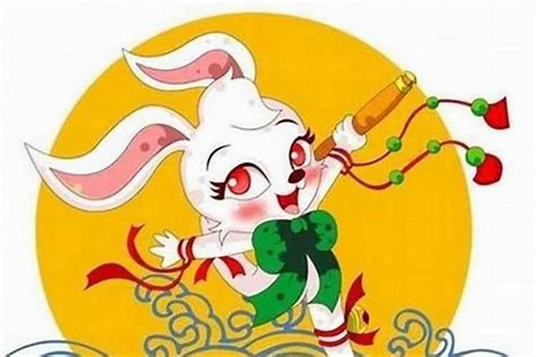 属虎的和属兔的合婚吗？